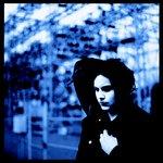 Jack White