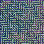 Animal Collective