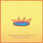 Everything Else Has Gone Wrong Everything Else Has Gone Wrong