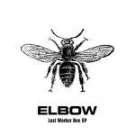 Lost Worker Bee EP Lost Worker Bee EP