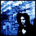 Blunderbuss Blunderbuss