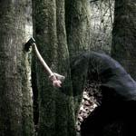 Bushcraft Bushcraft