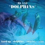Dolphins Dolphins
