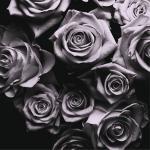 With Love With Love