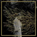 Engravings Engravings