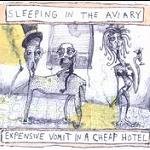 Expensive Vomit in a Cheap Hotel Expensive Vomit in a Cheap Hotel