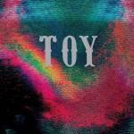 Toy