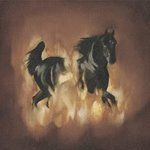 The Besnard Lakes Are the Dark Horse