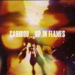 Up In Flames